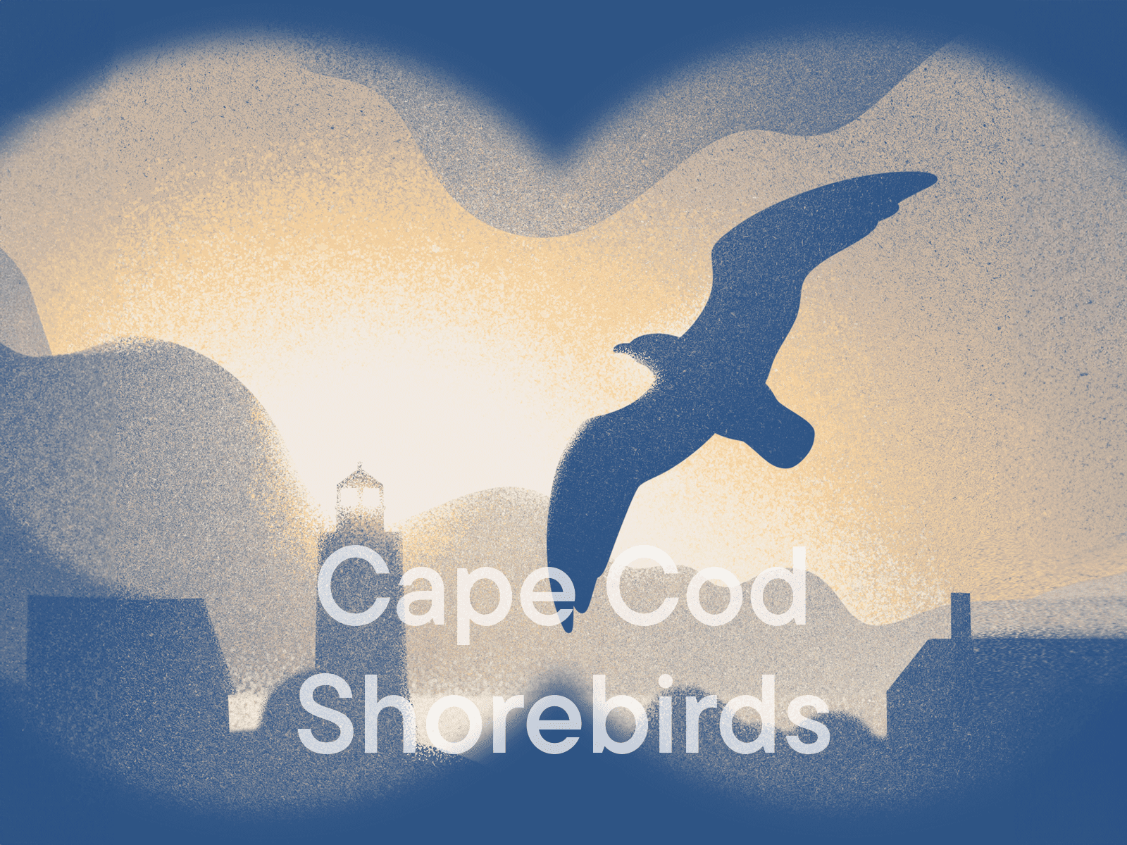 Cape Cod Shorebirds - Listening Room BG