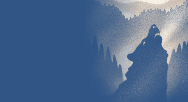 Wolf howling in the forest background