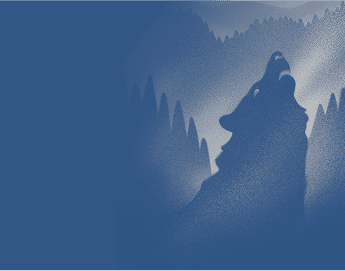 Wolf howling in the forest background
